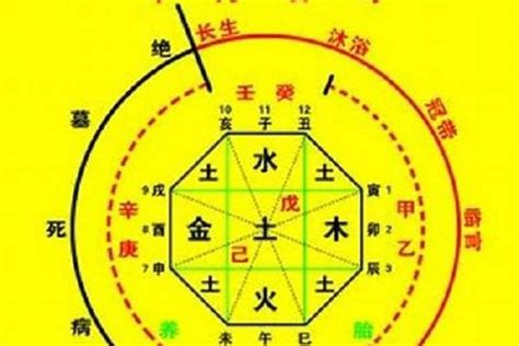 八字重量意義|八字重是多少？深入解析八字重量與命理關係及其意義